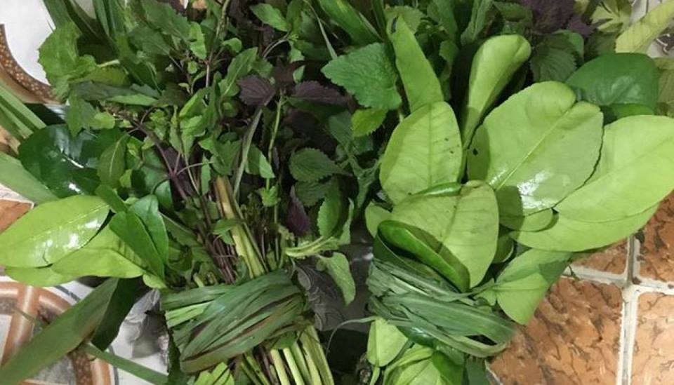 Set lá xông gia truyền 