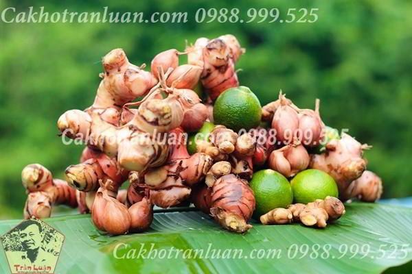 c&aacute; kho Tr&acirc;̀n Lu&acirc;̣n