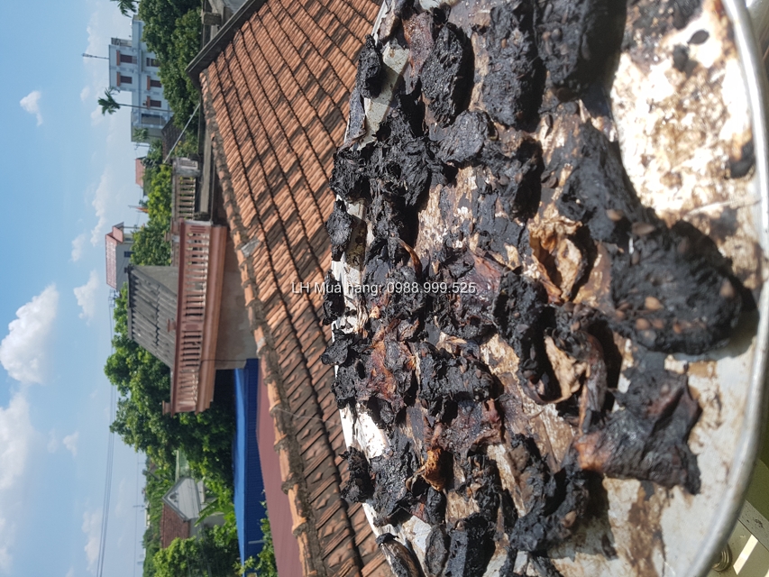 chế biến long quả đào tiên