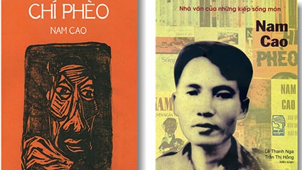 truyen chi pheo cua nam cao