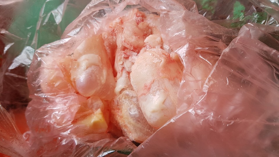 cửa hàng bán bong bóng cá