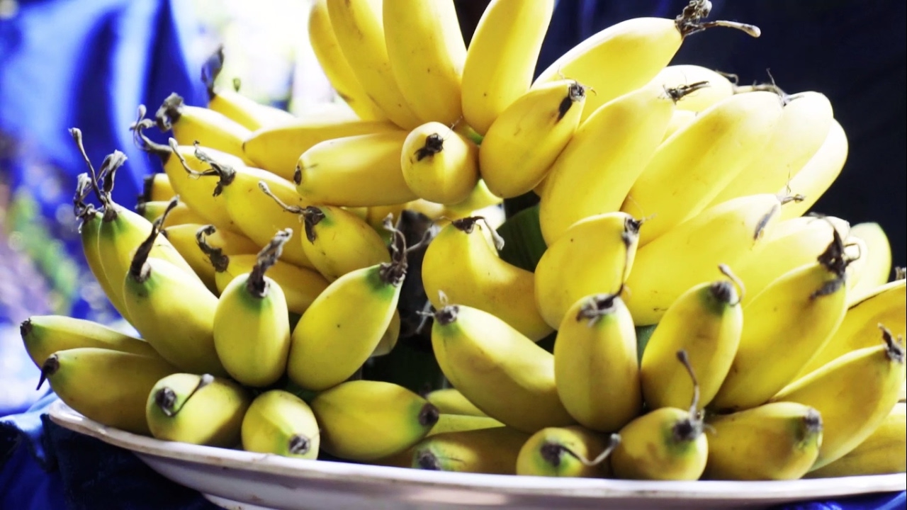 Chuối ngự tiến vua