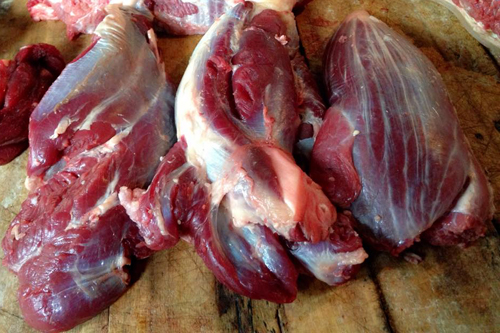 Thịt bắp ngựa, đùi ngựa 