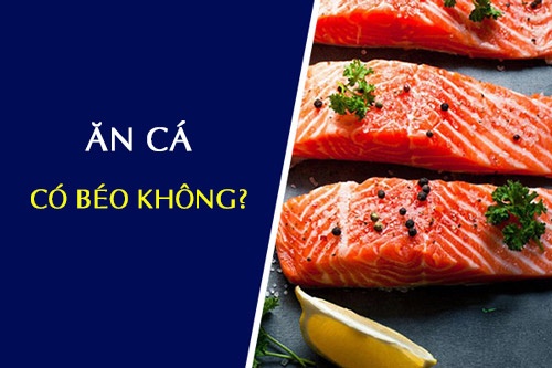  Ăn cá hồi có béo không?