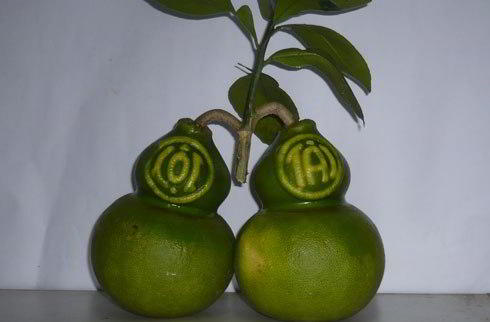 Bầu hồ lô thần tài bán Tết nguyên đán