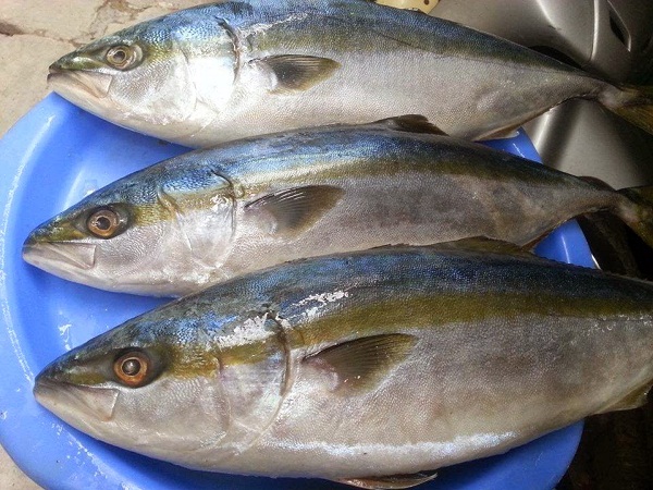 Nguyên liệu làm cá cam kho dứa