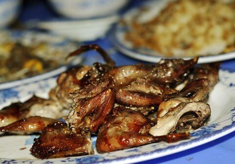 Chim Quốc nướng