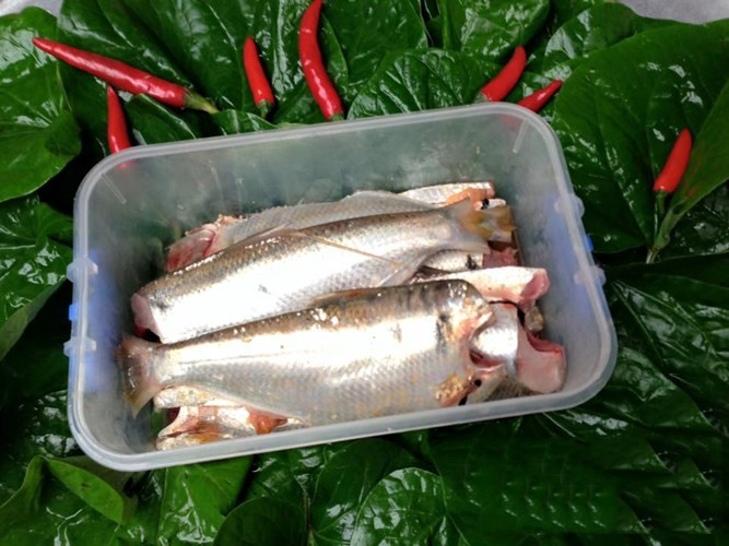 Bí quyết làm chả cá mòi ngon mê ly