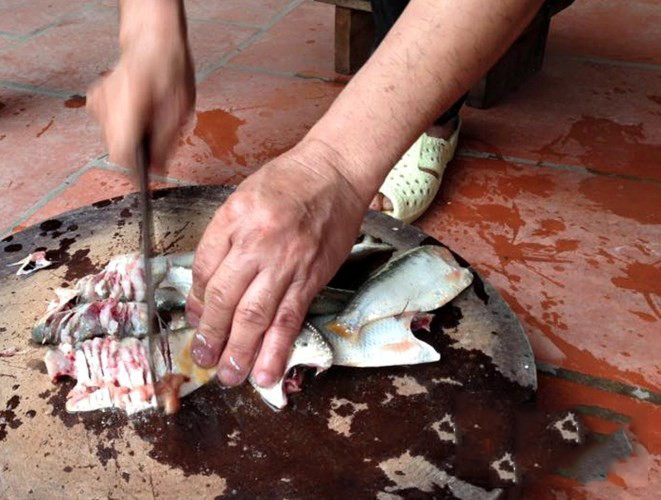 Cá mòi sau khi sơ chế, bỏ đầu bỏ mang đem băm nhỏ với thịt nạc vai.