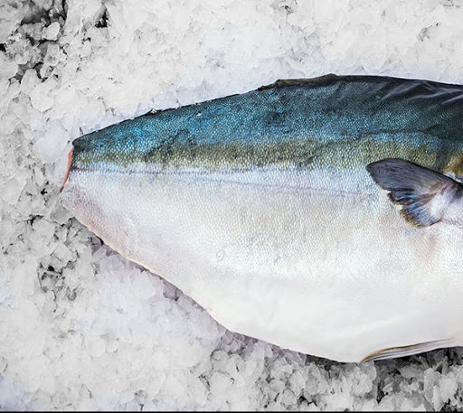 Tác dụng tuyệt vời của cá cam đối với sức khỏe