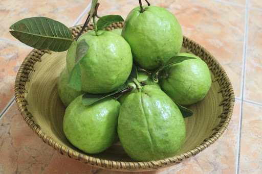 Ổi Thanh Hà 25k/kg