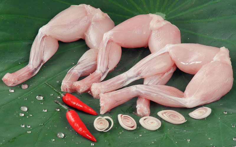 đùi ếch tươi sạch