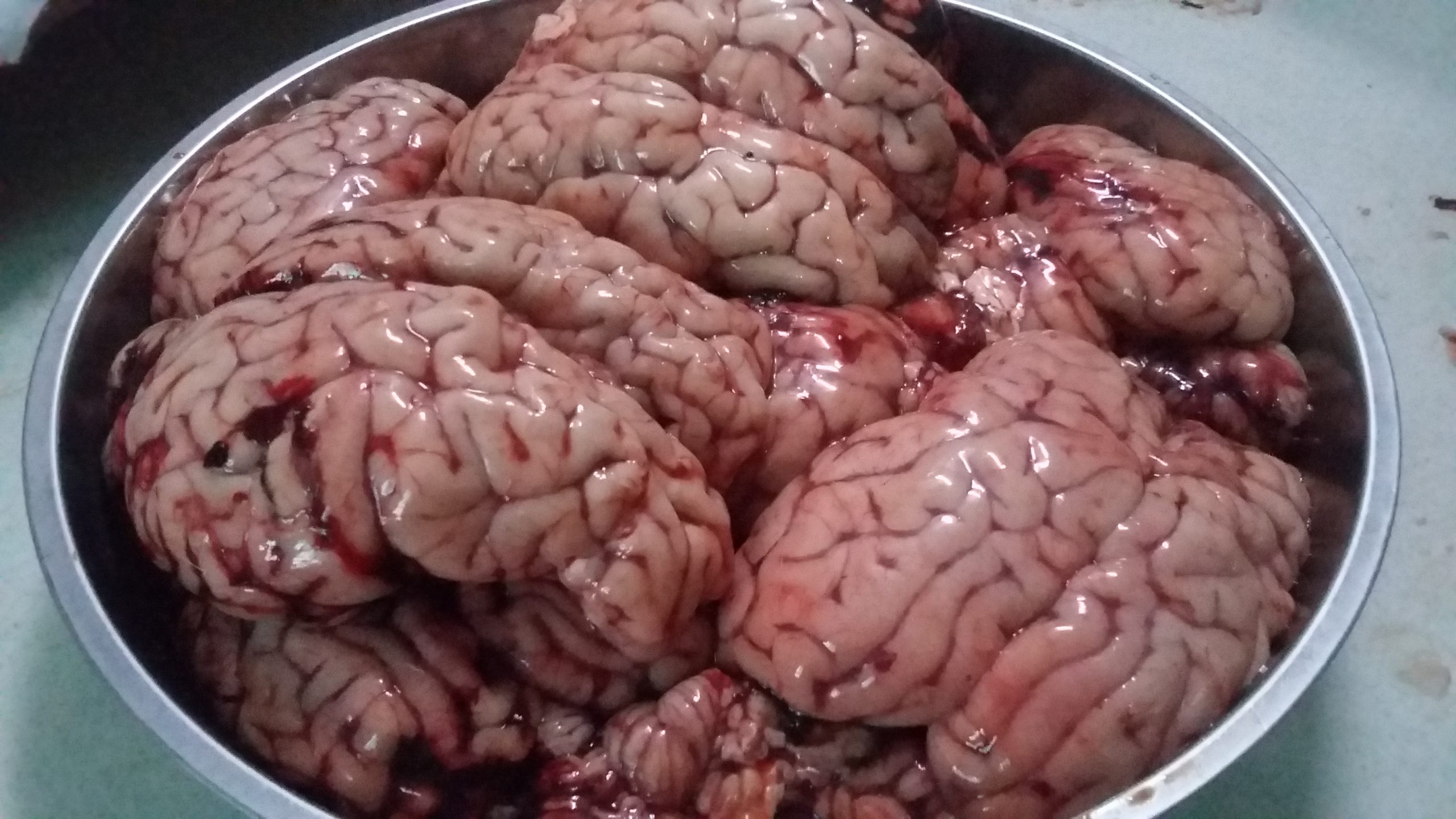 Óc bò nấu rượu