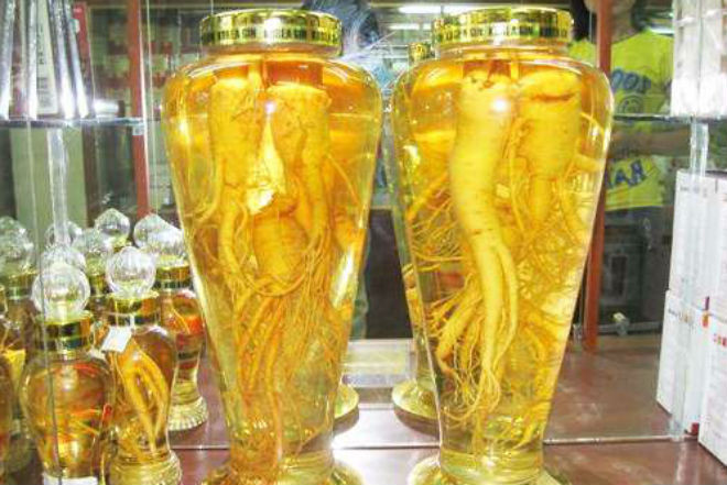 Rượu đinh lăng sạch chữa bệnh tiền đình - 150k/lit