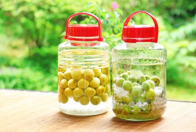 Địa chỉ bán rượu mơ chuẩn, xịn