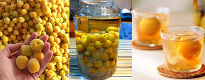 Rượu mơ ngâm sạch - 150k/lit