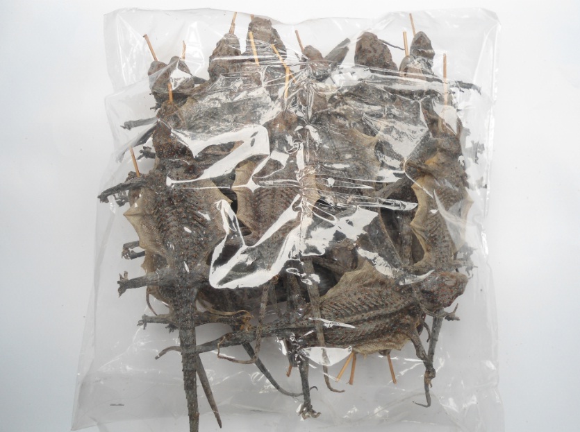 Cách chế biến tắc kè khô 