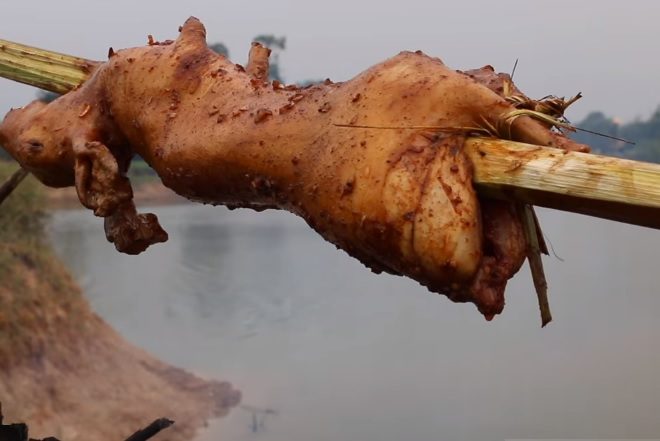 Thỏ thịt làm sạch thui sẵn - 280k/kg