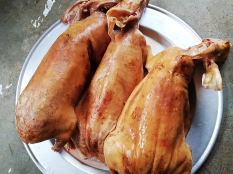 Thỏ làm thịt hỗ trợ thui sẵn- 280k/kg