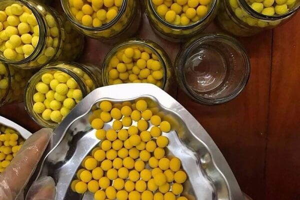 Lợi ích của nghệ viên mật ong