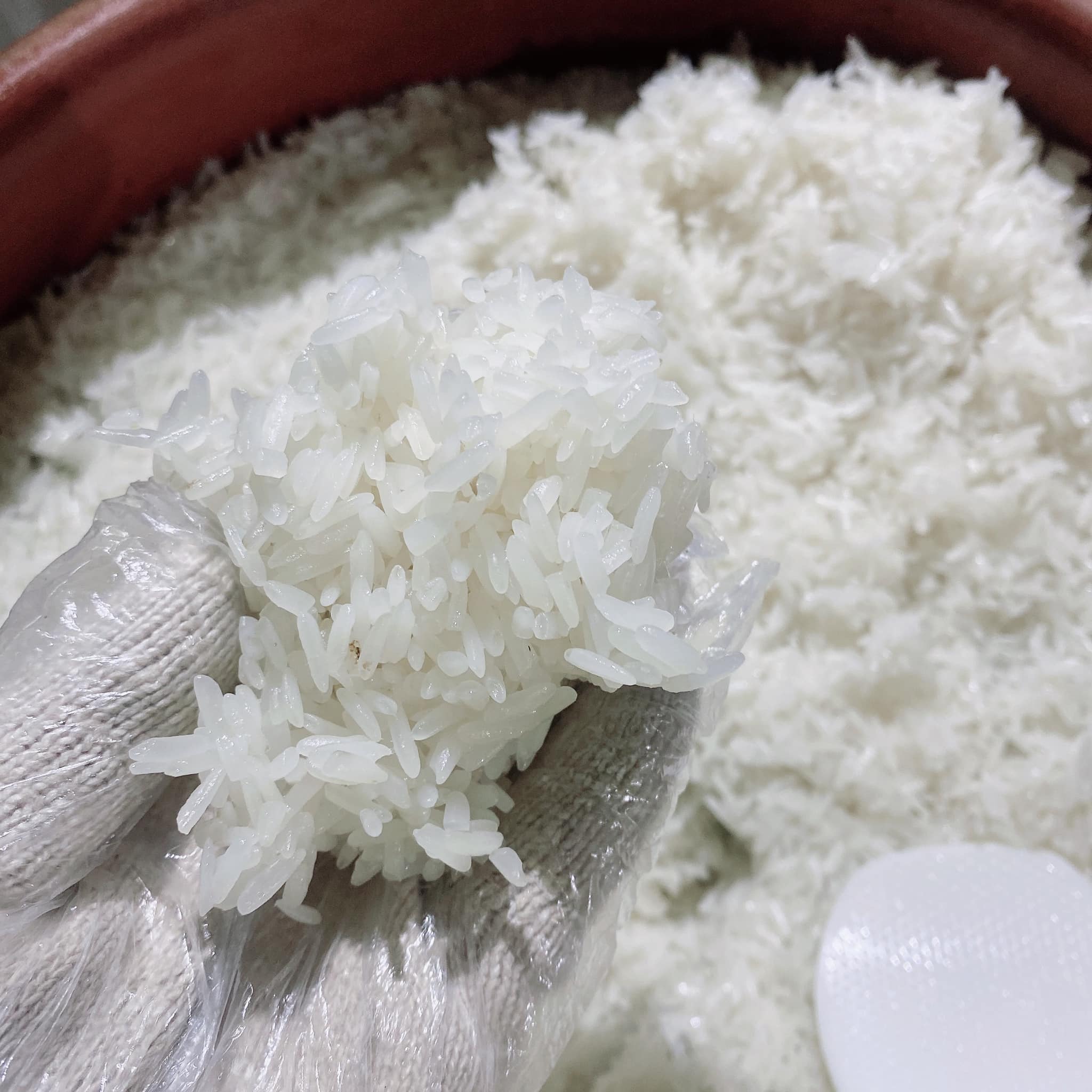 Bánh khúc Việt Trì khúc trắng làm từ nguyên liệu nào?