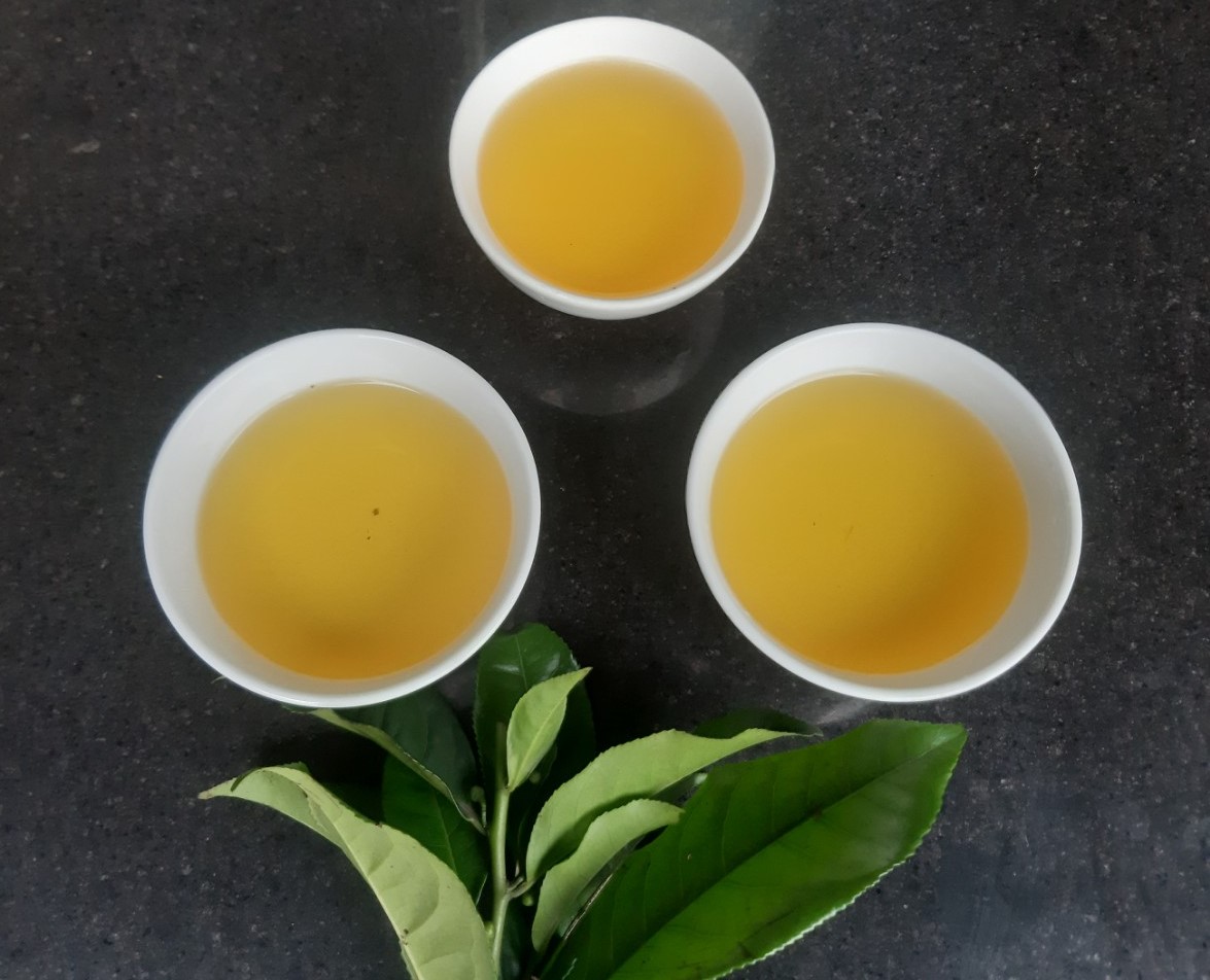 Những người không nên dùng lá chè tươi