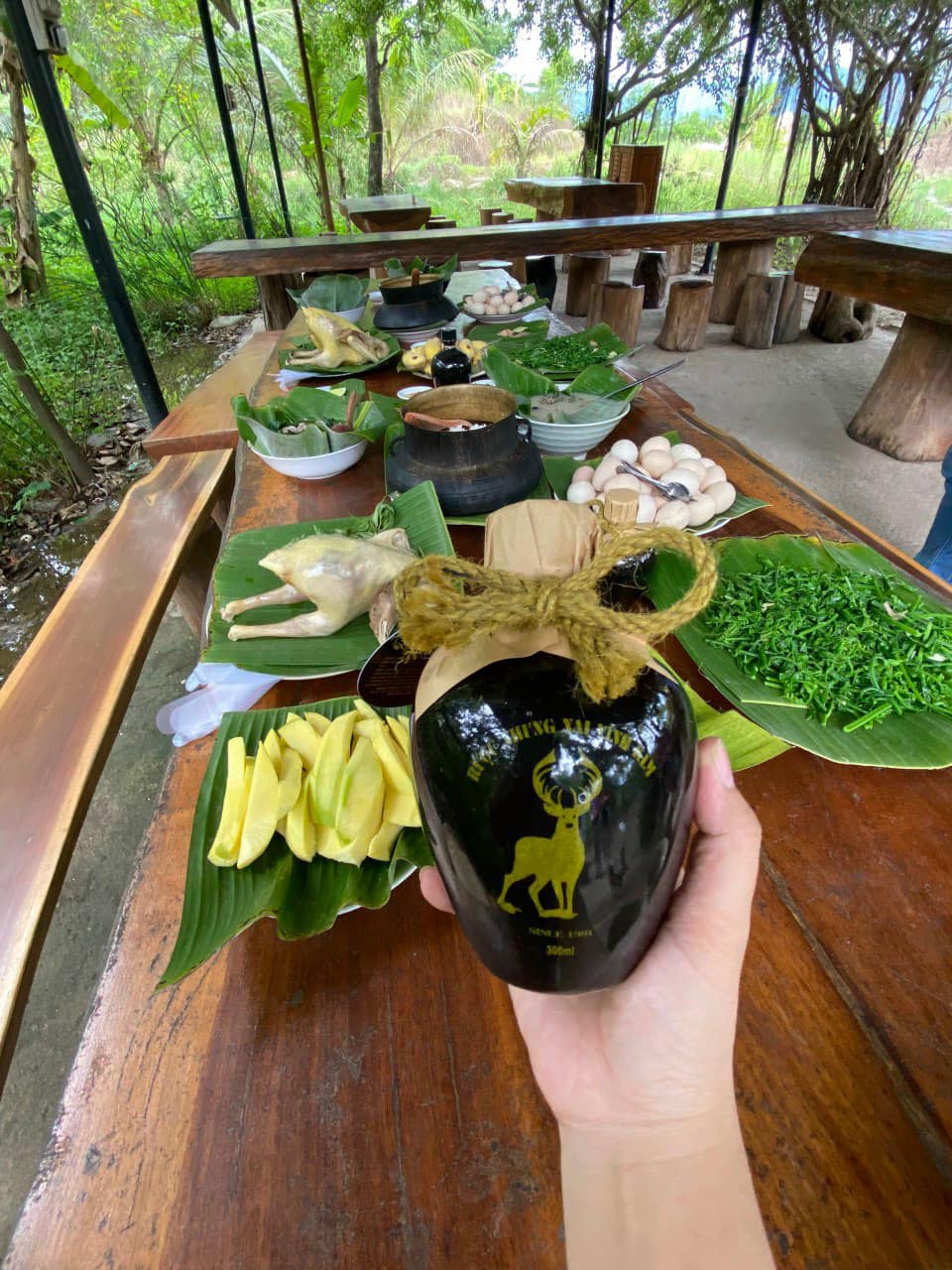 Rượu ngâm nhung nai Hà Tĩnh - 900k/chai 300ml