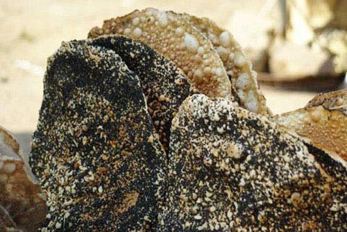 nguyên liệu mà người dân chọn đều là nông sản dễ kiếm nhưng sạch sẽ