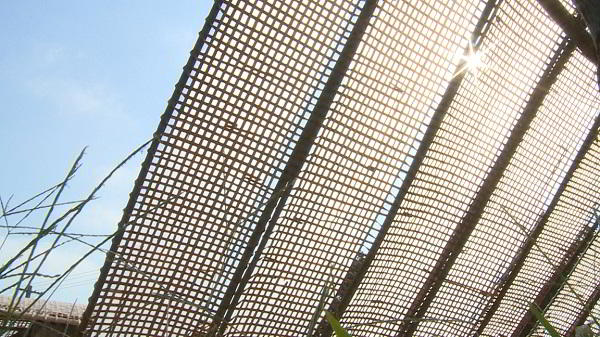 phoi banh da nem lang cheu