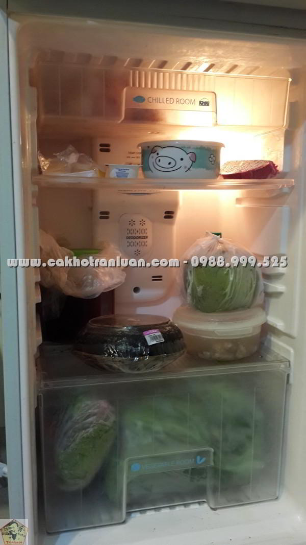 huong dan bao quan ca kho lang vu dai