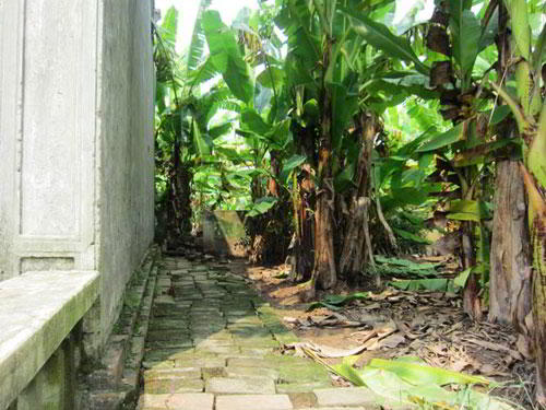 tour ca kho lang vu dai