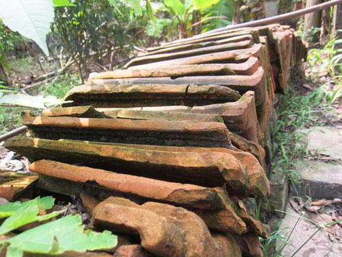 mai ngoi nha ba kien