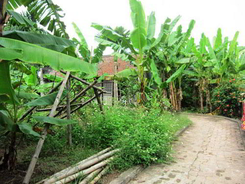 vuon nha ba kien lang vu dai