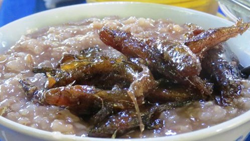 cháo cá bống