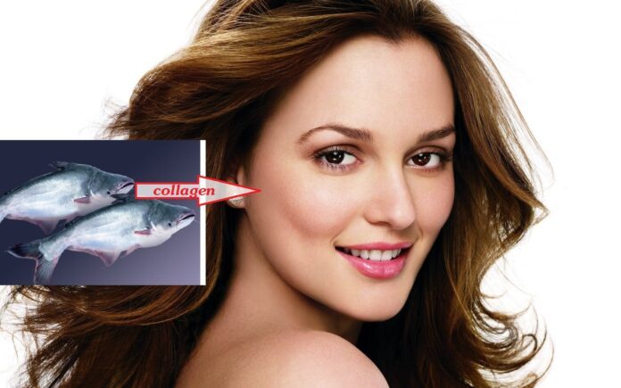 làm đẹp bằng cá tra