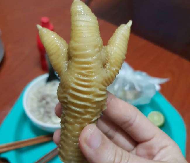 Chân gà đông tảo có rất nhiều tác dụng