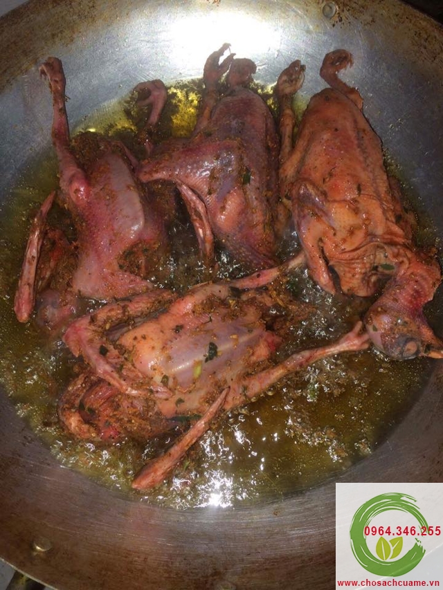 chim bồ câu làm sạch