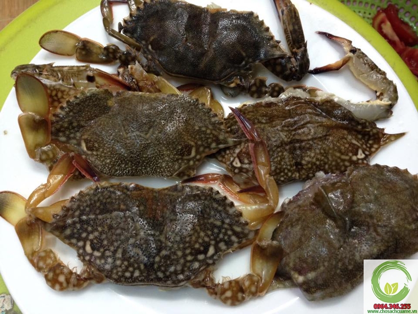 ghẹ lột phú quốc