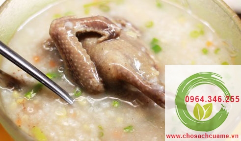 món cháo chim bồ câu