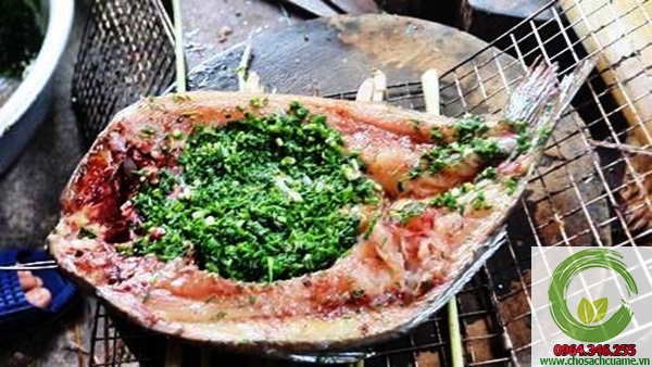 uop ca nuong pa pinh top