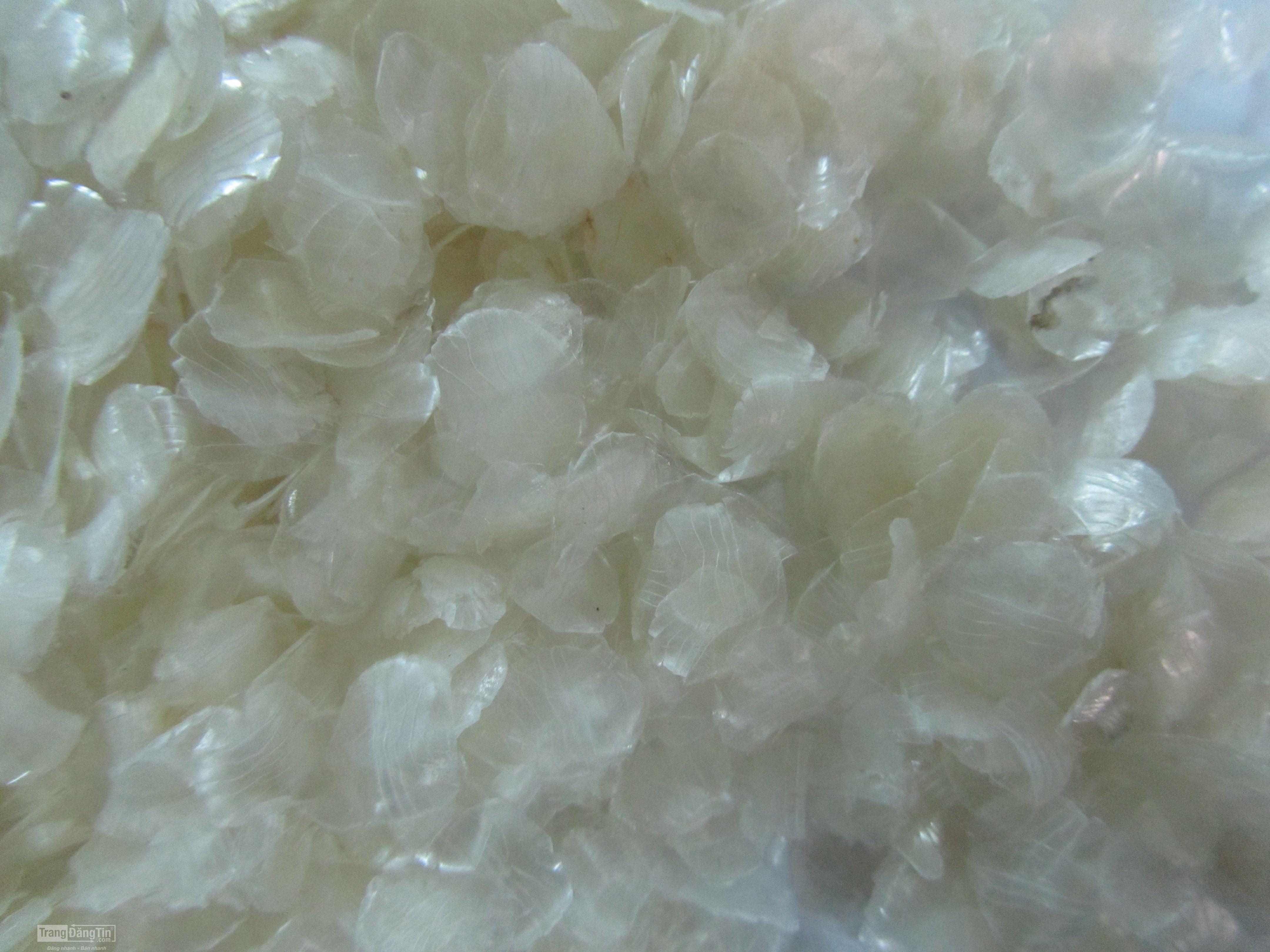 tác dụng của vảy cá