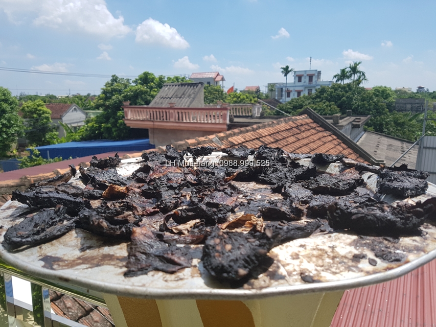 long dao tien ngam ruou