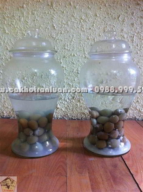 Rượu ngâm trứng gà