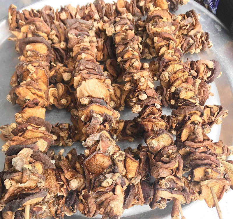 Công dụng của nấm hương rừng khô