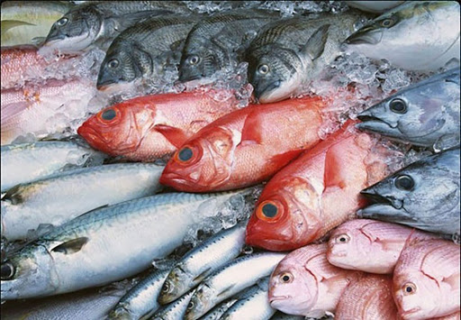 Cá đóng hộp hay cá tươi tốt hơn?