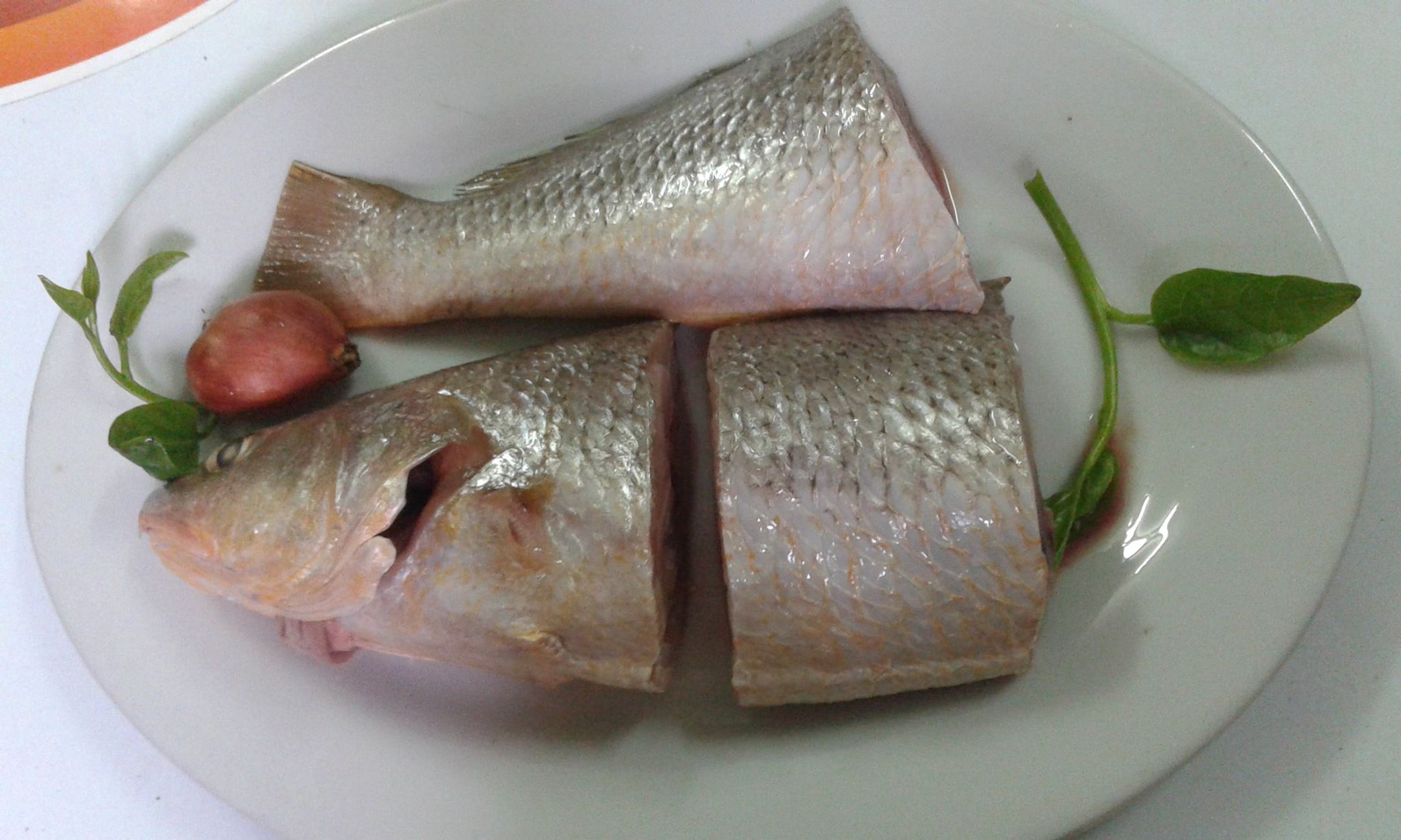 Công dụng của Cá Nhám