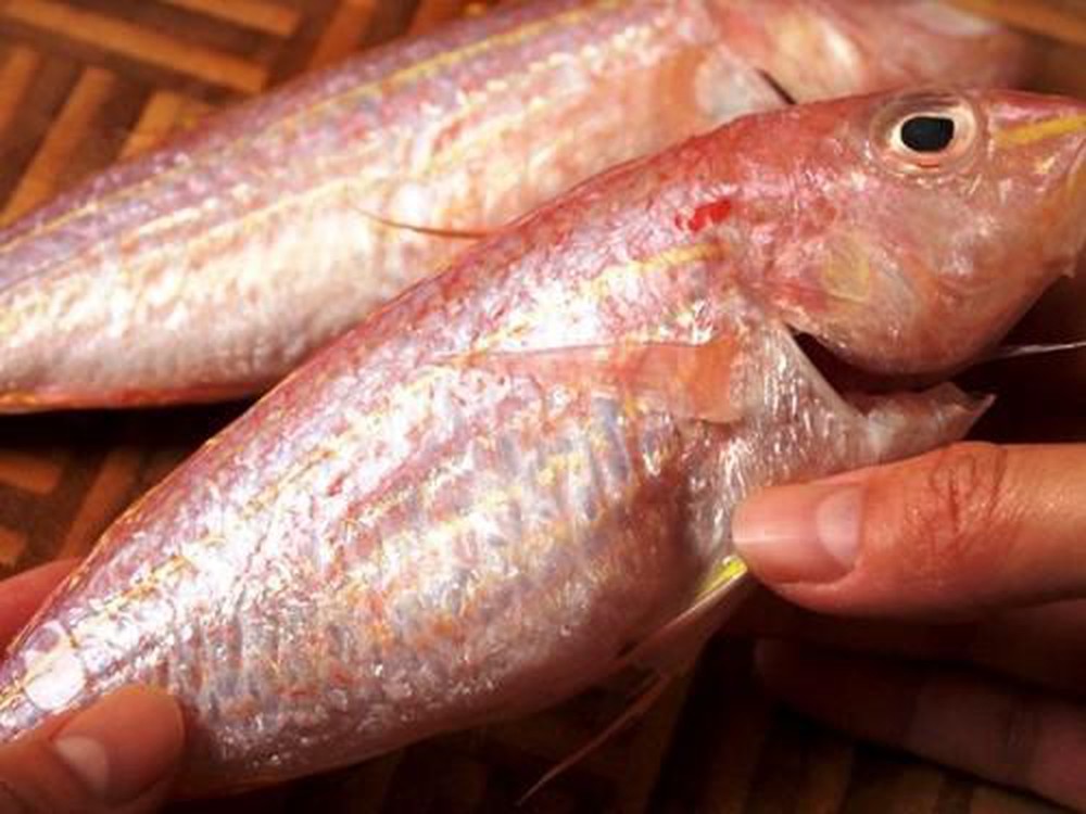 Tác dụng của cá phèn hồng