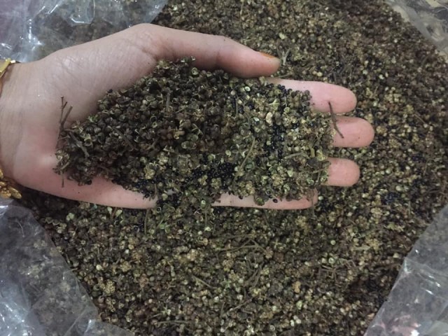 Hạt mắc khén rừng