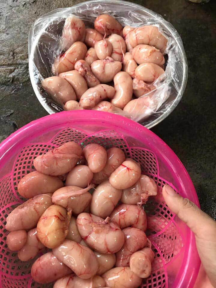 Tác dụng của ngọc kê gà Đông Tảo với sức khỏe