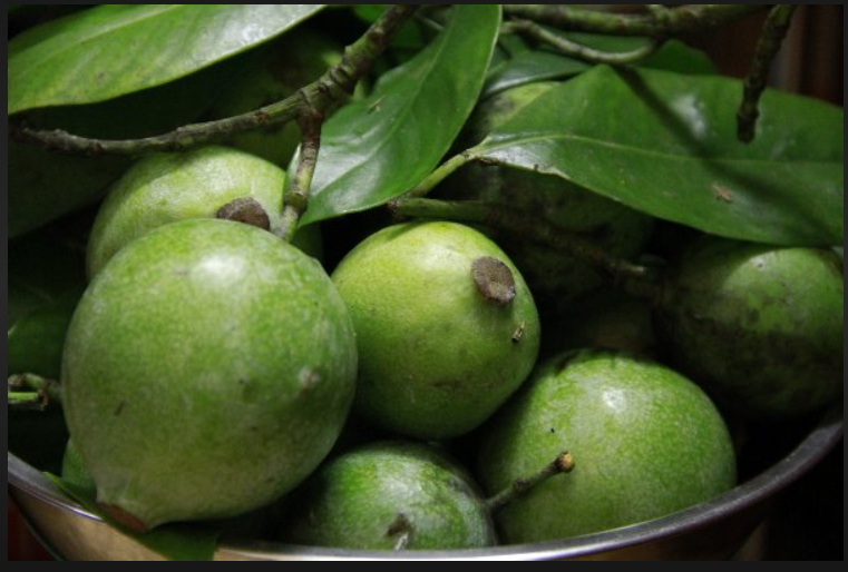 Nấu canh chua với quả dọc